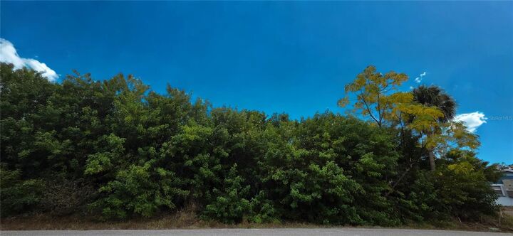 Property Photo: 3546 Coney Island Street FL 33952