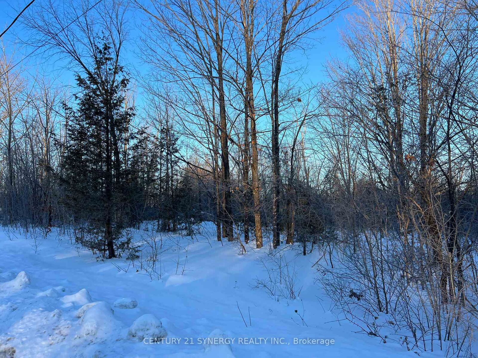 Property Photo:  00 McLachlin Road  ON K7A 4S7 