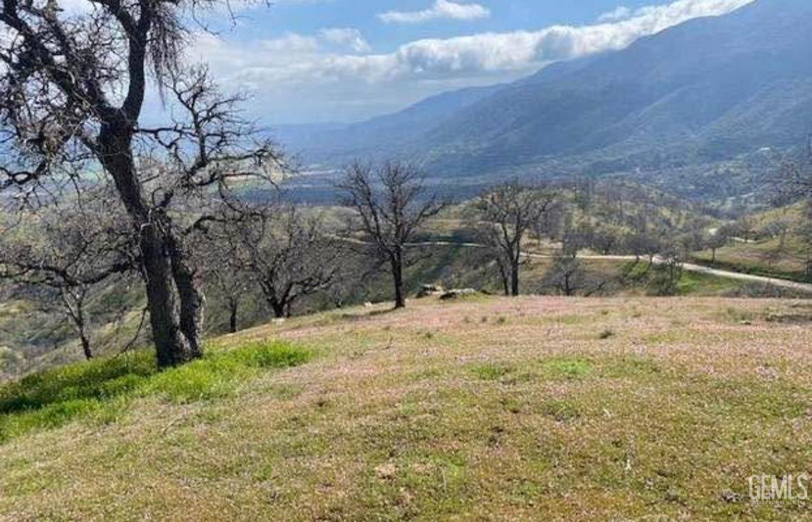 Property Photo:  11212 Back Canyon Road  CA 93518 