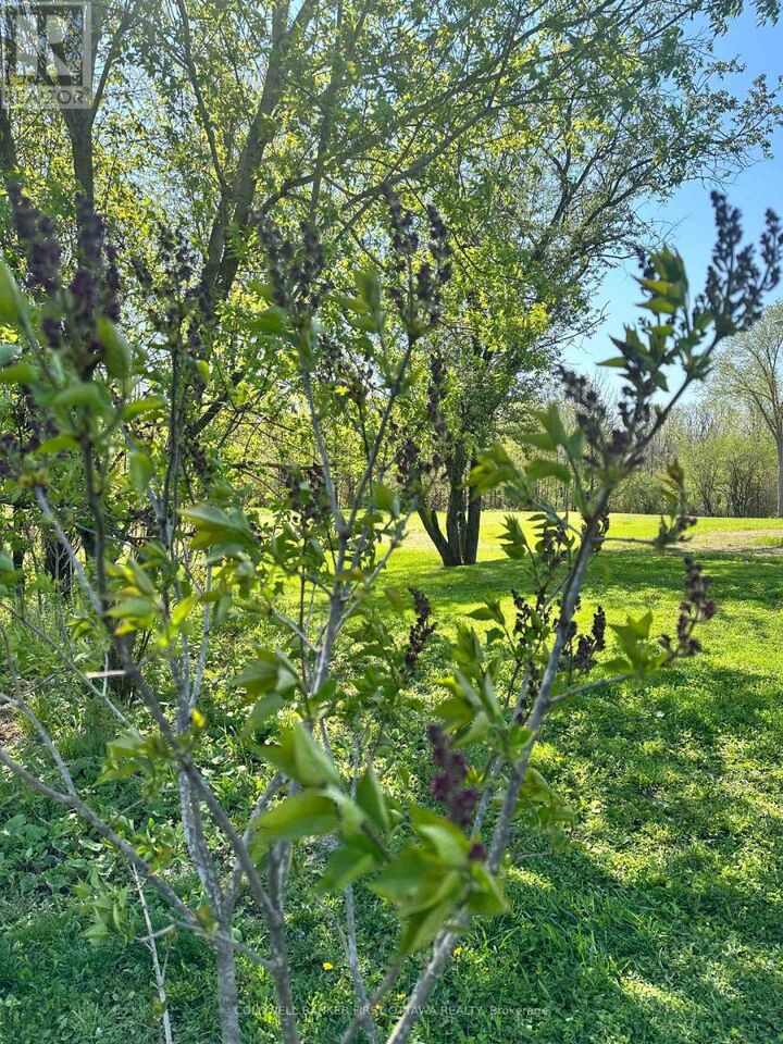 Property Photo: 121 Ernest Way ON K7H 0B3