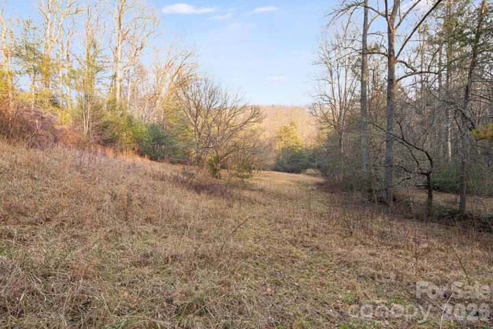 Property Photo: 0000 Red Eft Way NC 28742