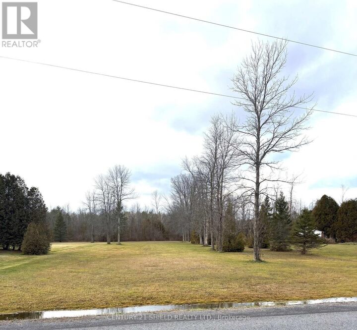 Property Photo:  0000 Dafoe Road  ON K0C 1M0 