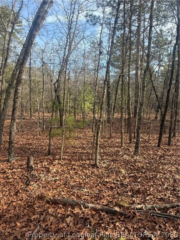 Property Photo:  0 Gully Branch Road  NC 28376 