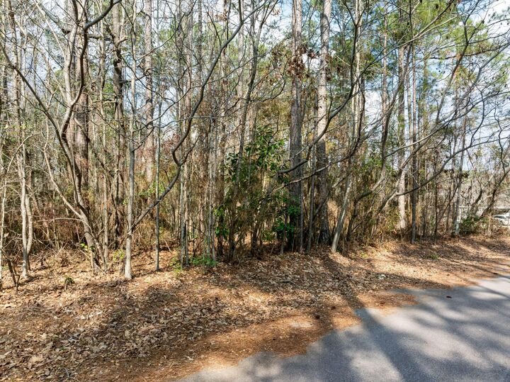 Property Photo: 000 Lynell Loop MS 39402