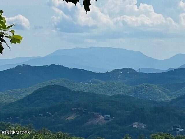 Property Photo: 0 Overholt Tr TN 37862