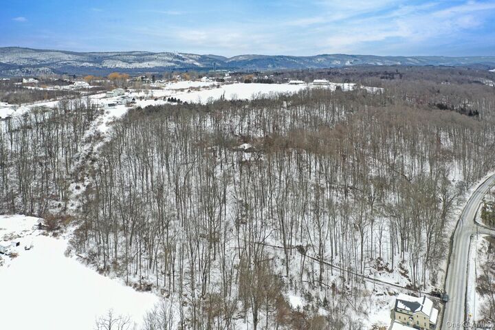 Property Photo: 163 Old State Route 22 NY 12522
