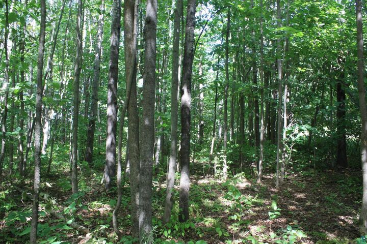 Property Photo:  50xx S Maple Dr  WI 54864 