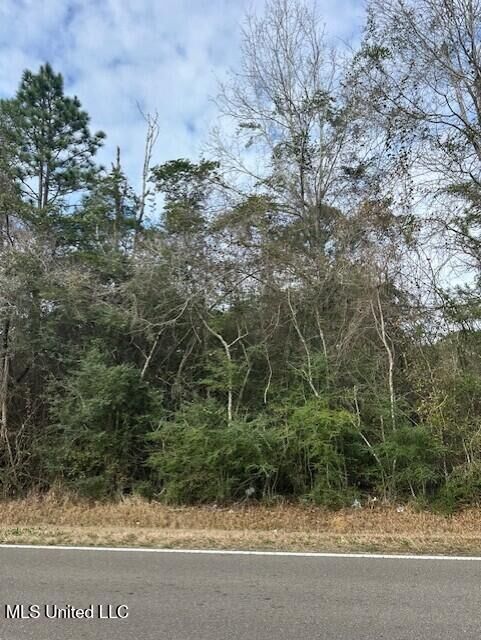 Property Photo:  Ms 53 Lot 10  MS 39503 