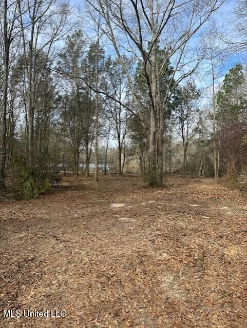 Property Photo:  Ms 53 Lot 3  MS 39503 