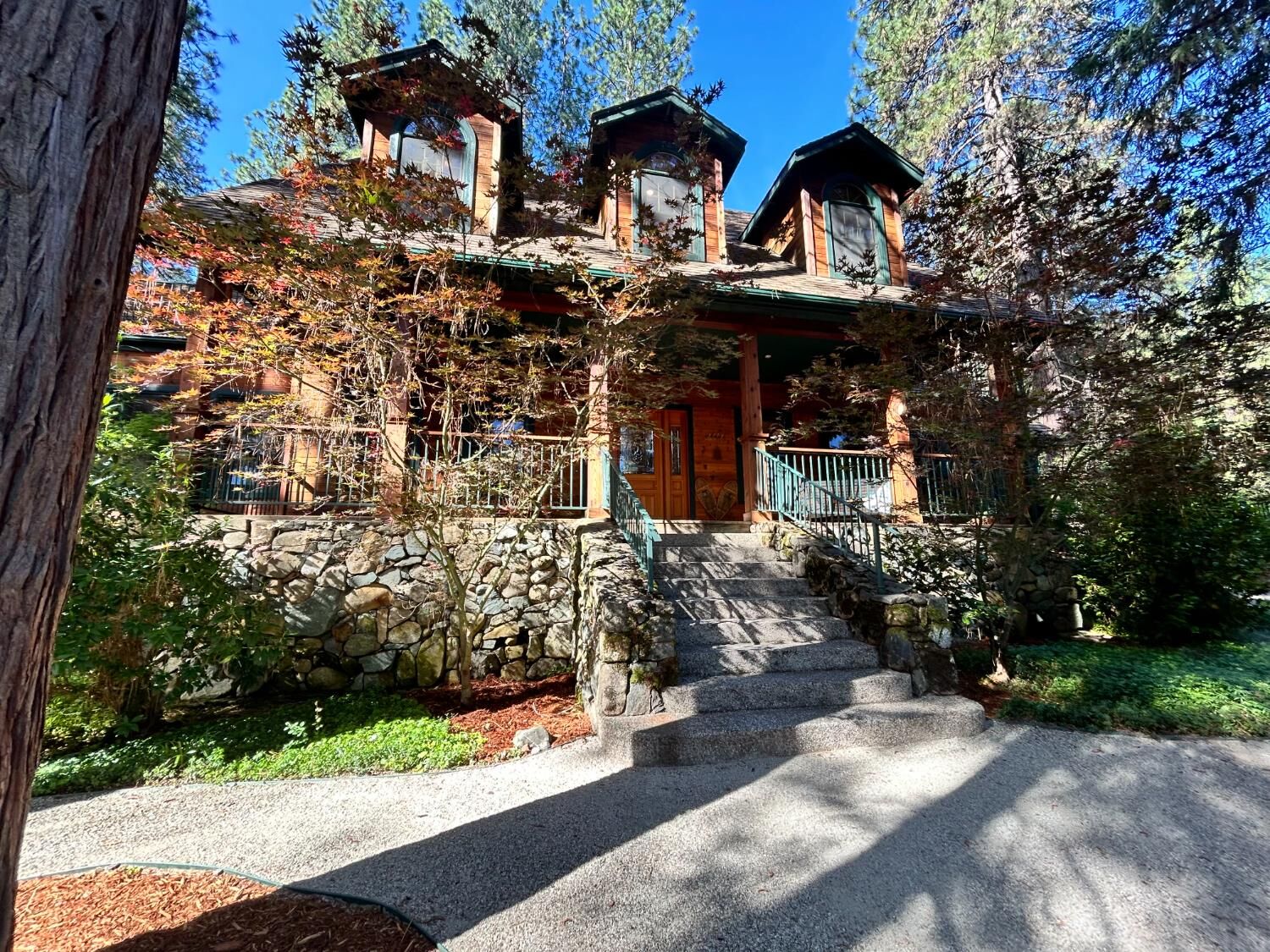 Property Photo:  14153 Misty Meadow Lane  CA 95959 