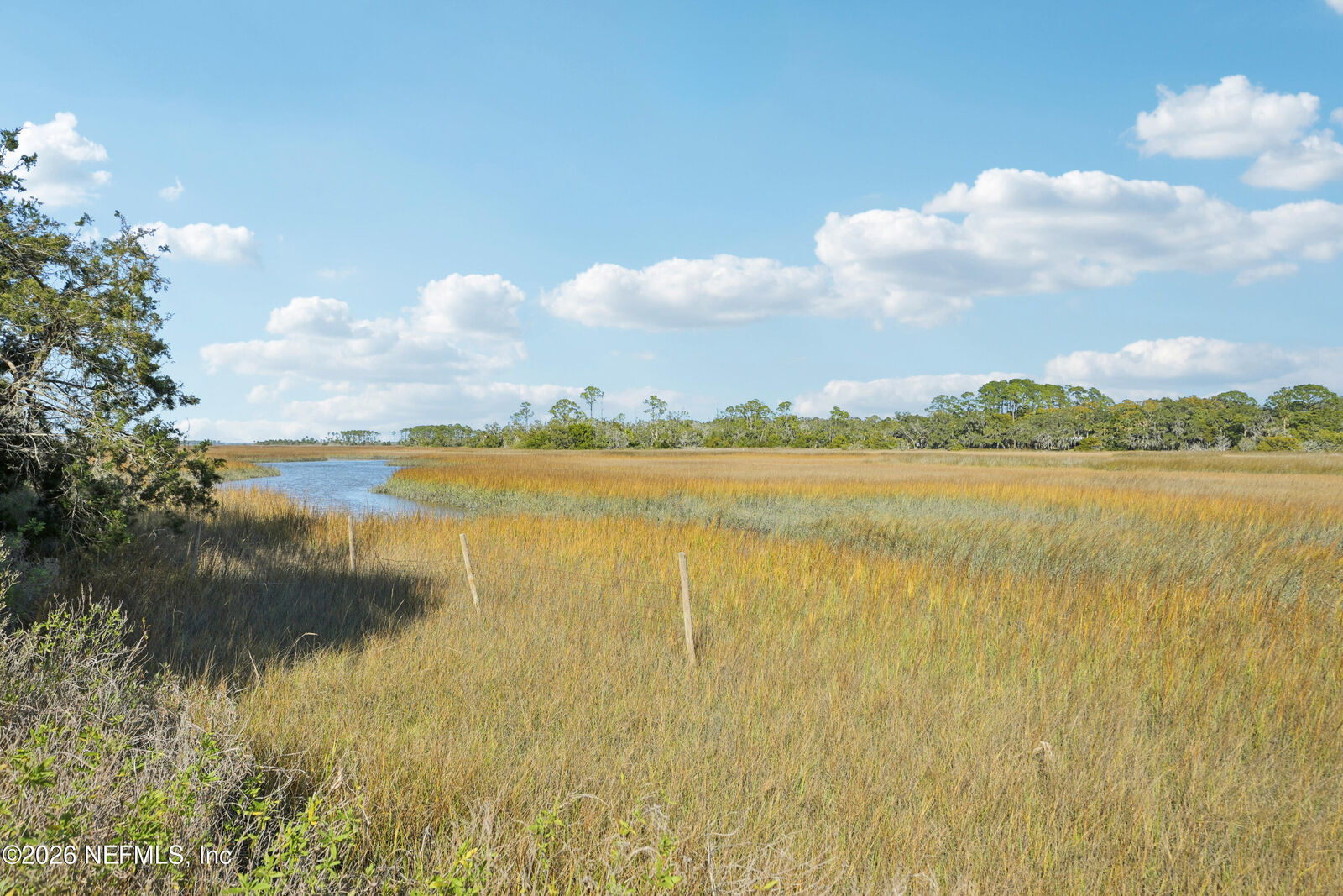 Property Photo:  500 Coopers Cove Road  FL 32095 