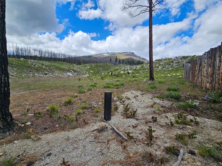 Property Photo:  910 Judd Creek Hollow  MT 59840 