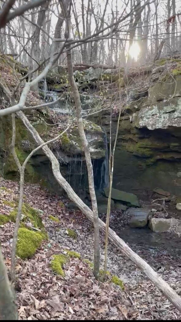 Property Photo:  Tbd 002 Plumlee Rd  AR 72611 