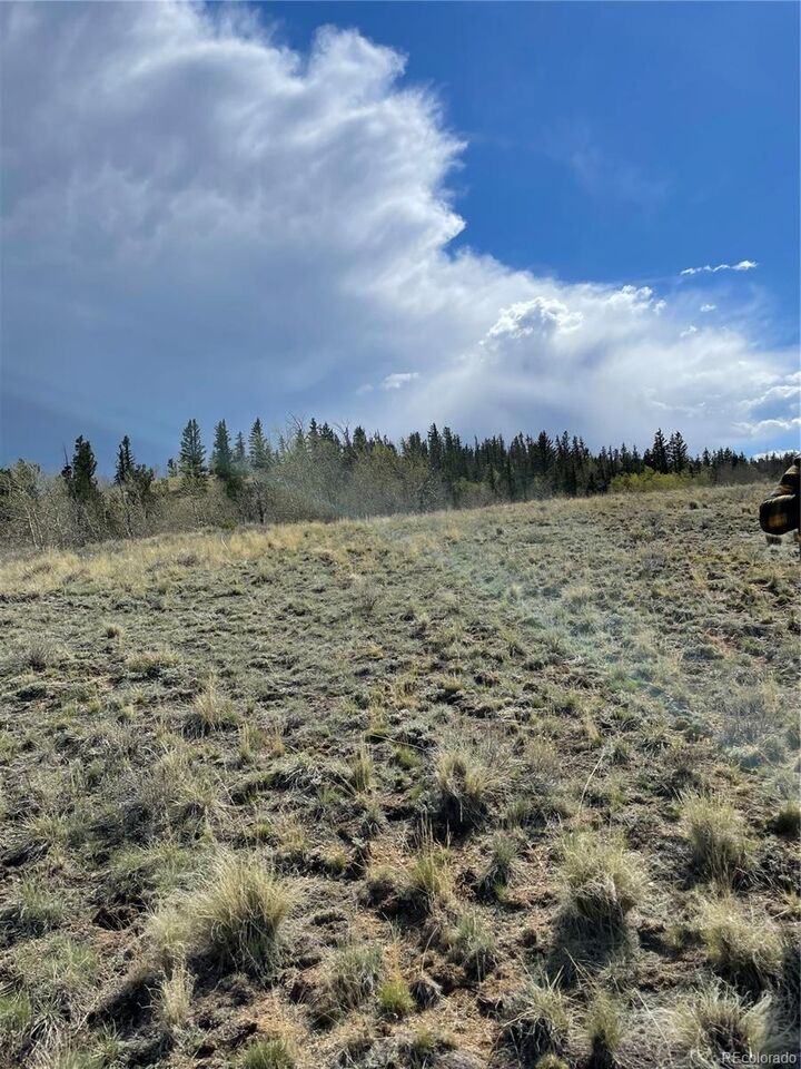 Property Photo: 252 Albino Road CO 80456