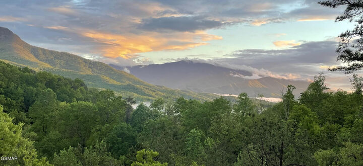 Property Photo:  939 Vixen Run  TN 37738 