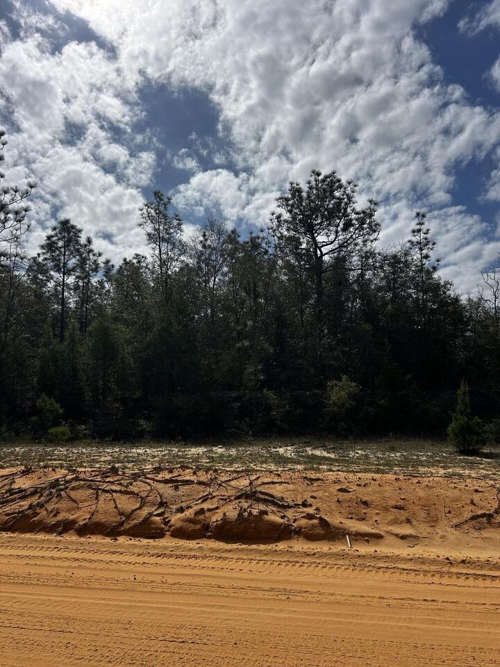 Property Photo:  Tbd Elkcam Boulevard  FL 32428 