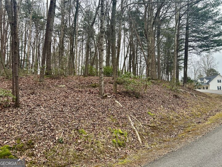 Property Photo:  0 Willows Drive  GA 30528 