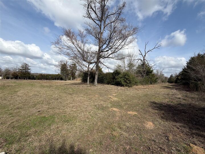 Property Photo: Lot 1 Cr 389 TX 75846