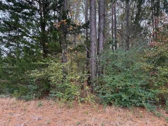 Property Photo: Tbd Timberline Dr TX 75662