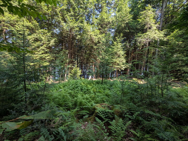 Property Photo:  Lot #8 Kolm Lane  ME 04939 