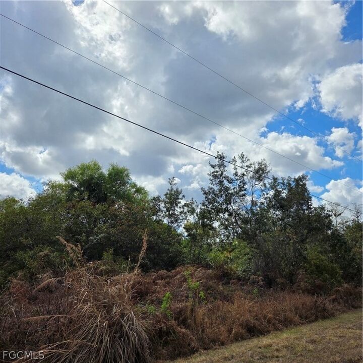 Property Photo:  24th Avenue SE  FL 34117 