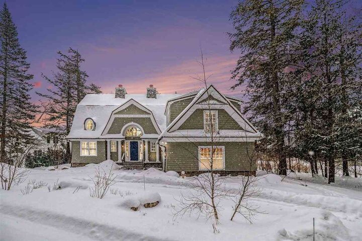 Property Photo:  5909 Cook Point Drive  MI 49740 