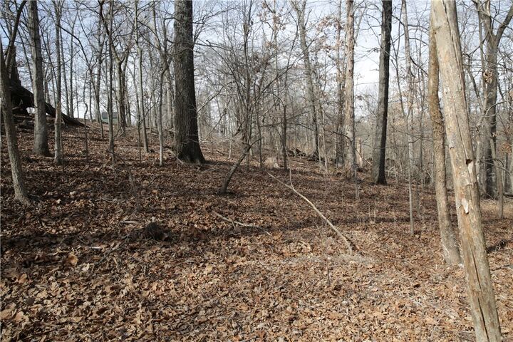 Property Photo:  Lot 11 Kirkpatrick Way  AR 72715 