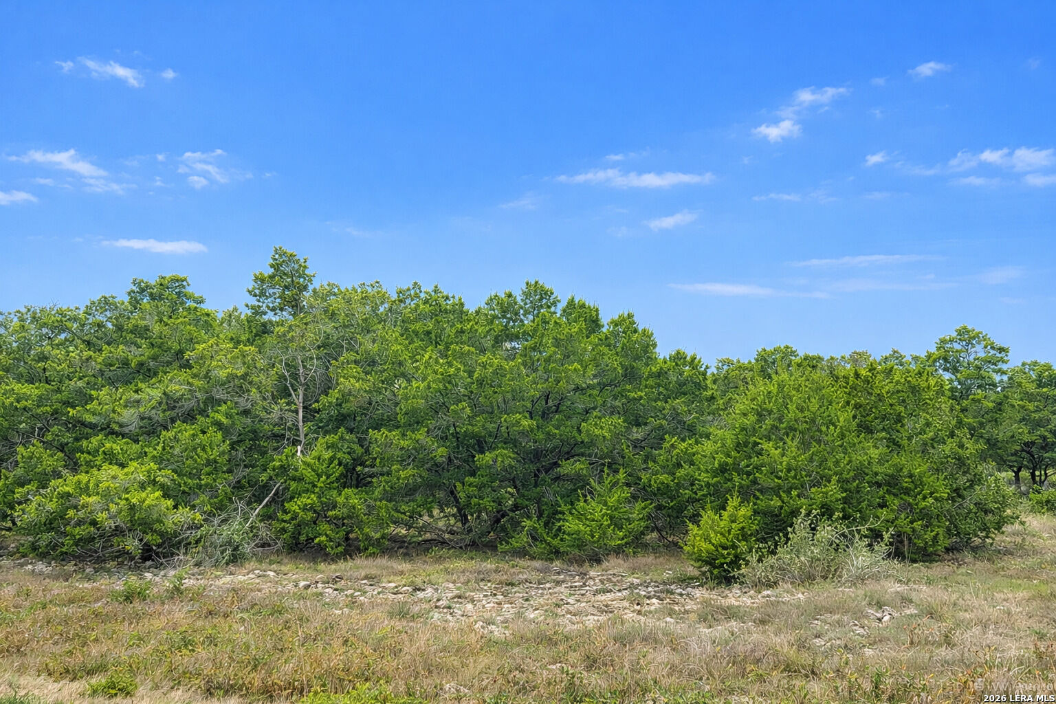 Property Photo: 1639 Bussola TX 78132