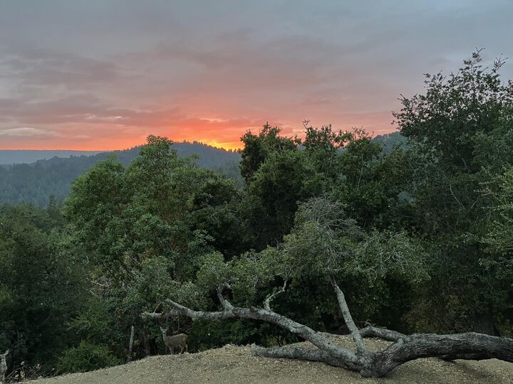 Property Photo:  22721 Oak Flat Road  CA 95033 