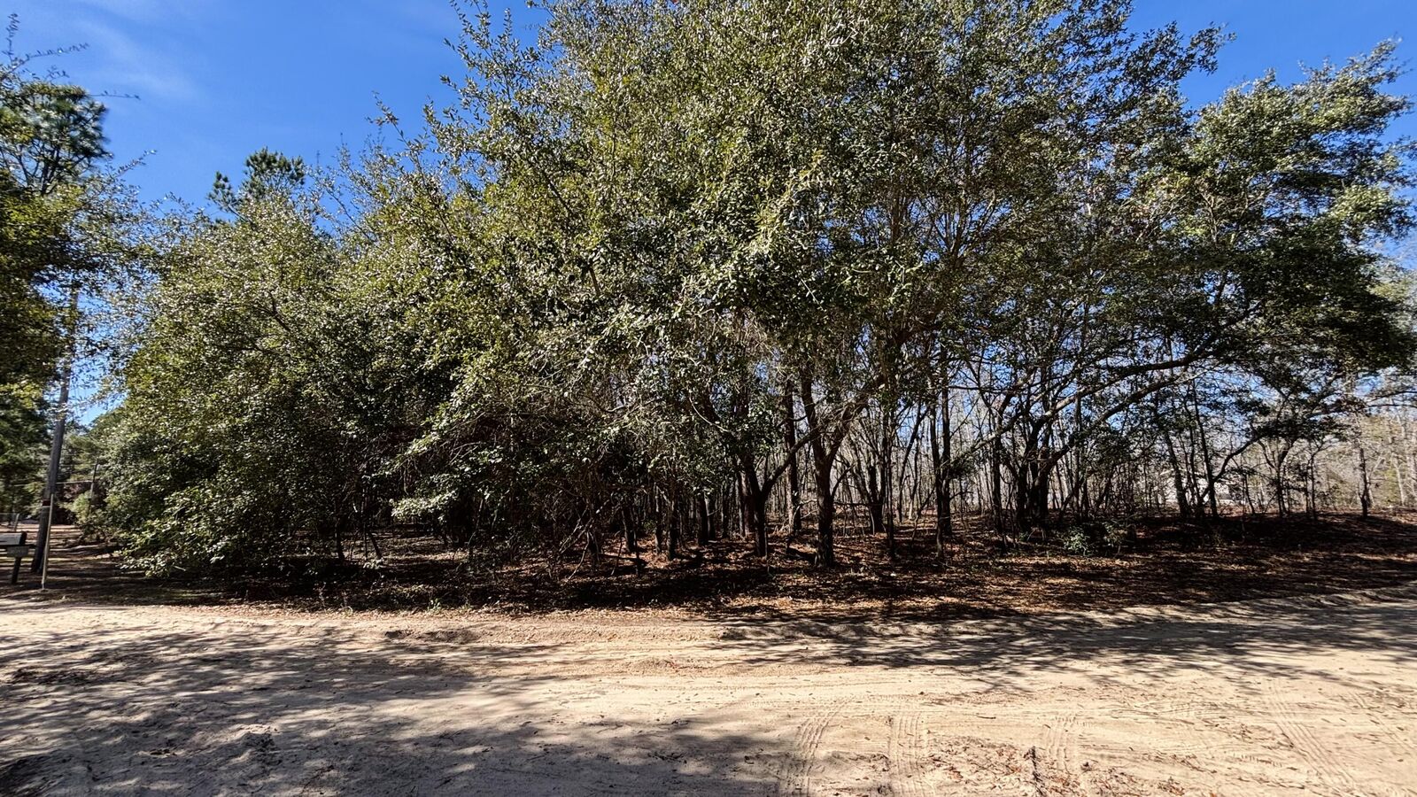 Property Photo: 0 Ripley Court SC 29047