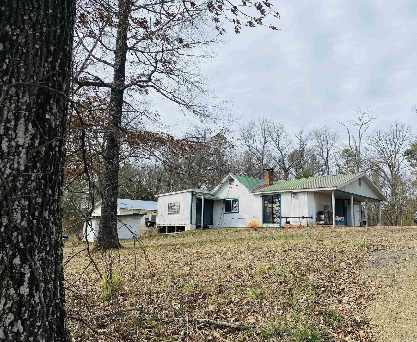 Property Photo:  295 Polk  Road 27  AR 71945 