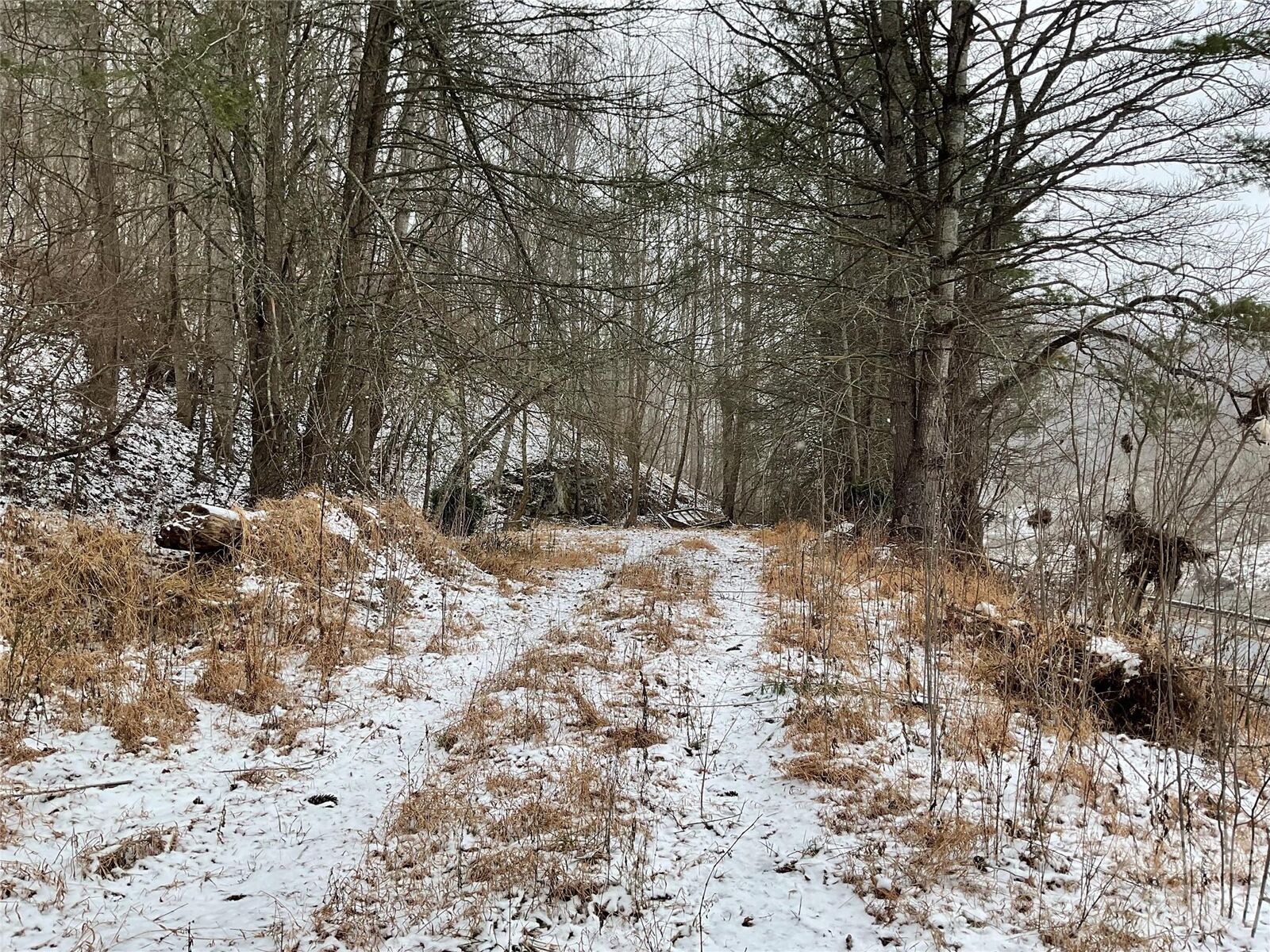 Property Photo:  0000 Nc Hwy 197 Highway  NC 28740 