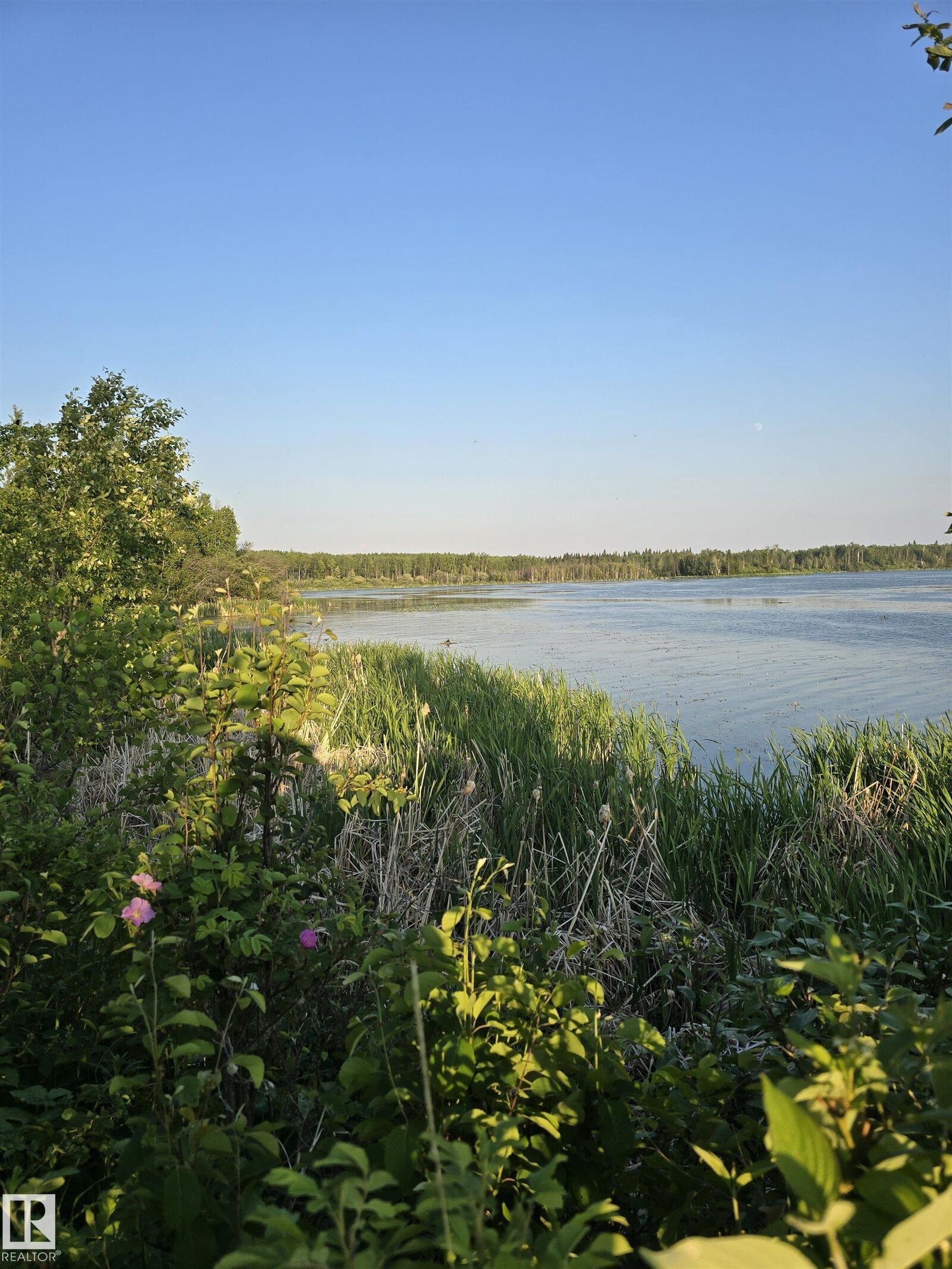 Property Photo: 168 5519 Twp Rd 550 AB T5L 0P0