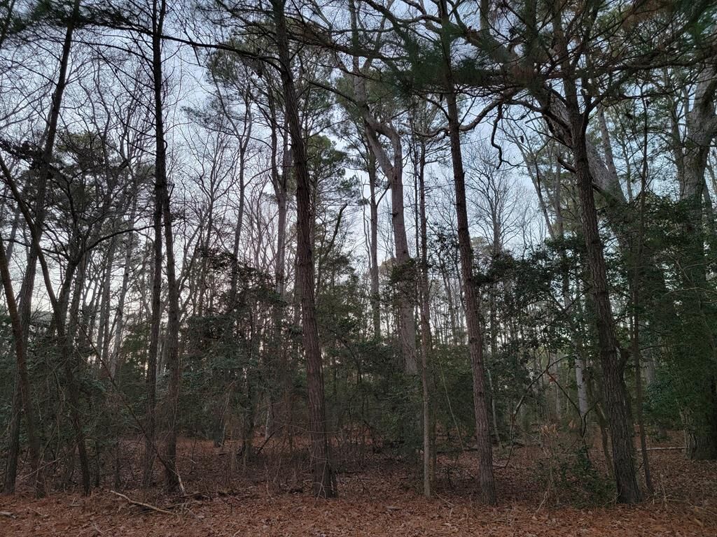 Property Photo: Lot 7A1 Wilsonia Shores Dr VA 23405