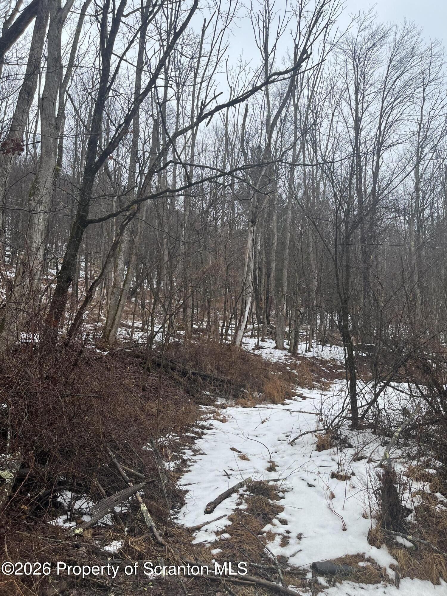 Property Photo:  922 Hawk Road  PA 18801 