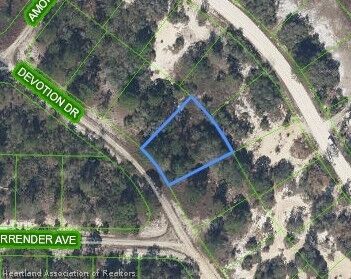 Property Photo: 489 Devotion Drive FL 33852