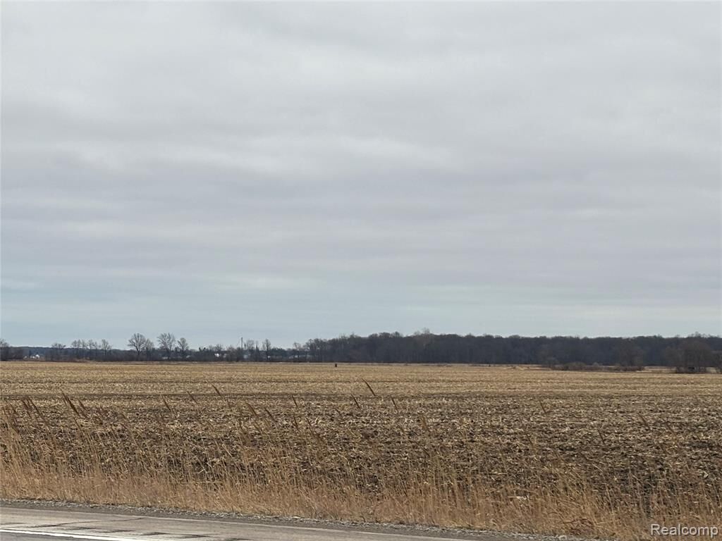 Property Photo:  000 S. Custer Road  MI 48161 
