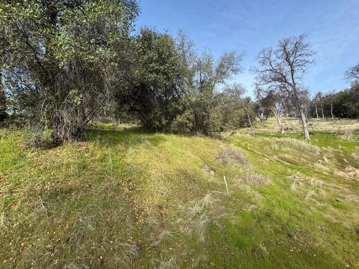 Property Photo:  0 Whitto Mine Rd  CA 95370 