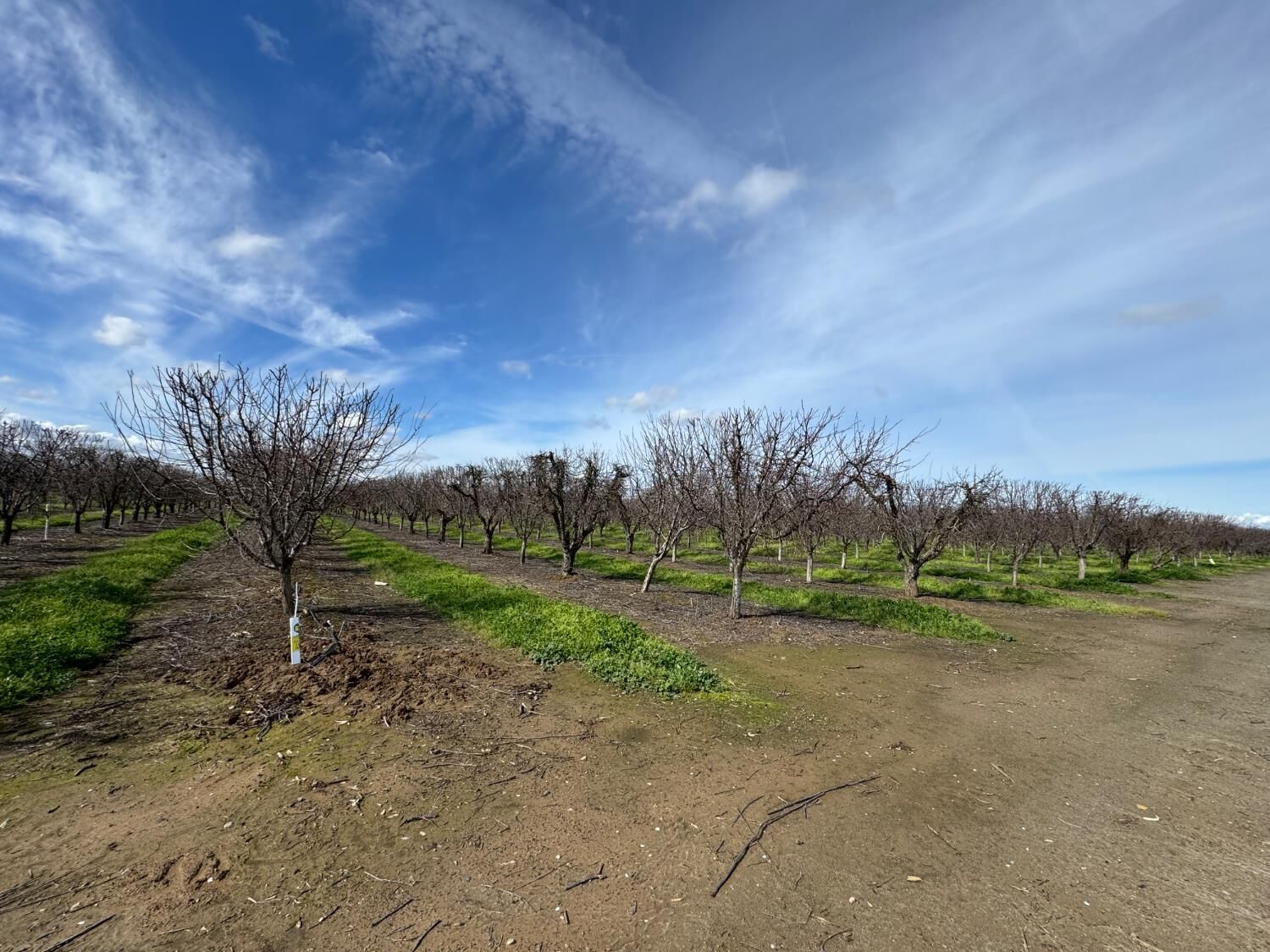 Property Photo: 6722 Bryden Road CA 95901