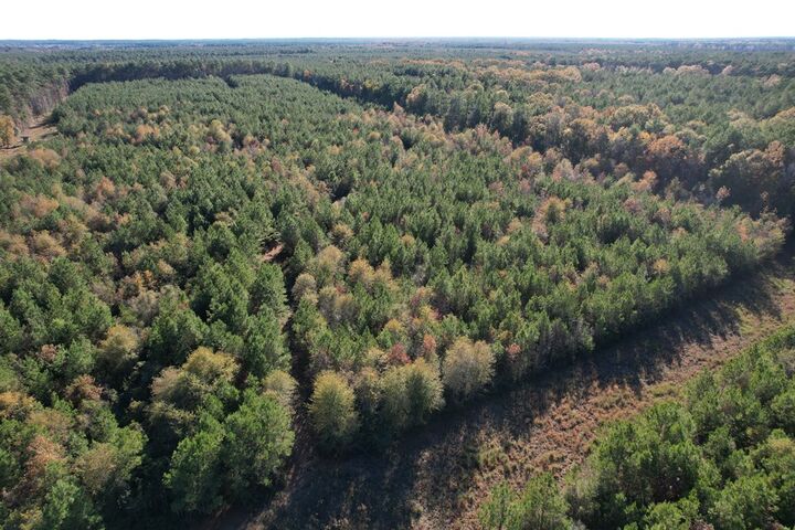 Property Photo:  1729 Neal Road  TX 75949 