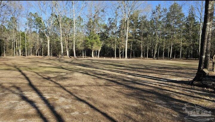 Property Photo:  Salter Rd  FL 32571 