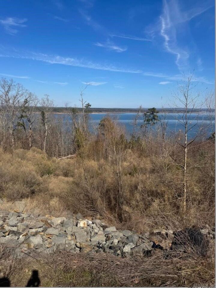 Property Photo:  Lot 139 &Amp 140 Lakefront Road  AR 72131 
