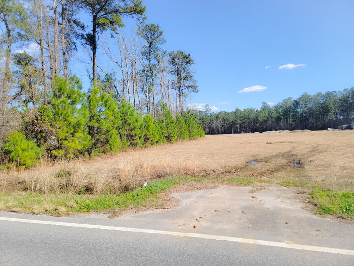 Property Photo:  1374 Jedburg Road  SC 29486 