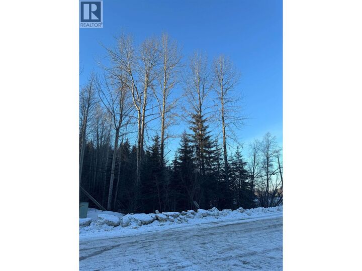 Property Photo:  4288 Old Summit Lake Road  BC V2K 5S5 