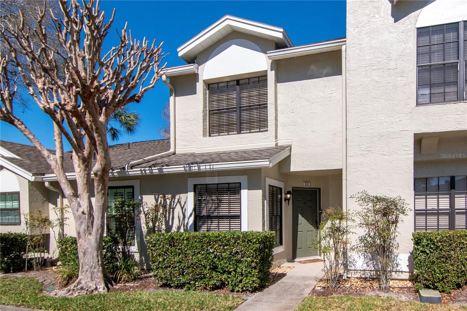 Property Photo:  5100 Burchette Road 801  FL 33647 