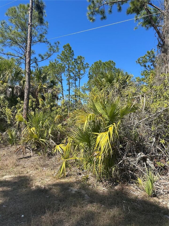 Property Photo:  Henning Street  FL 34288 