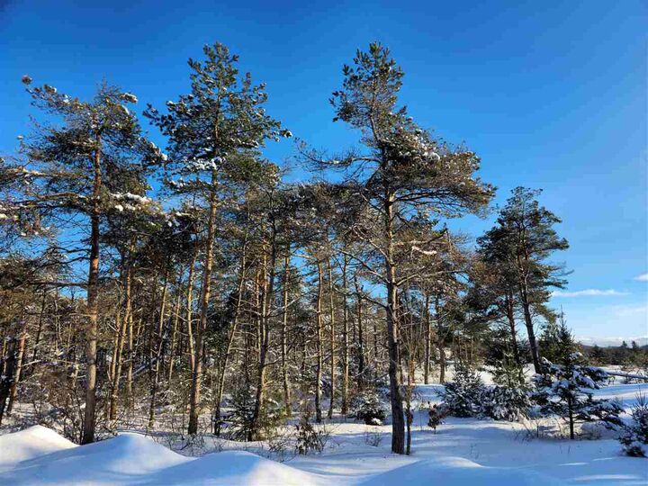 Property Photo:  3129 Needles Lot 35  MI 49740 