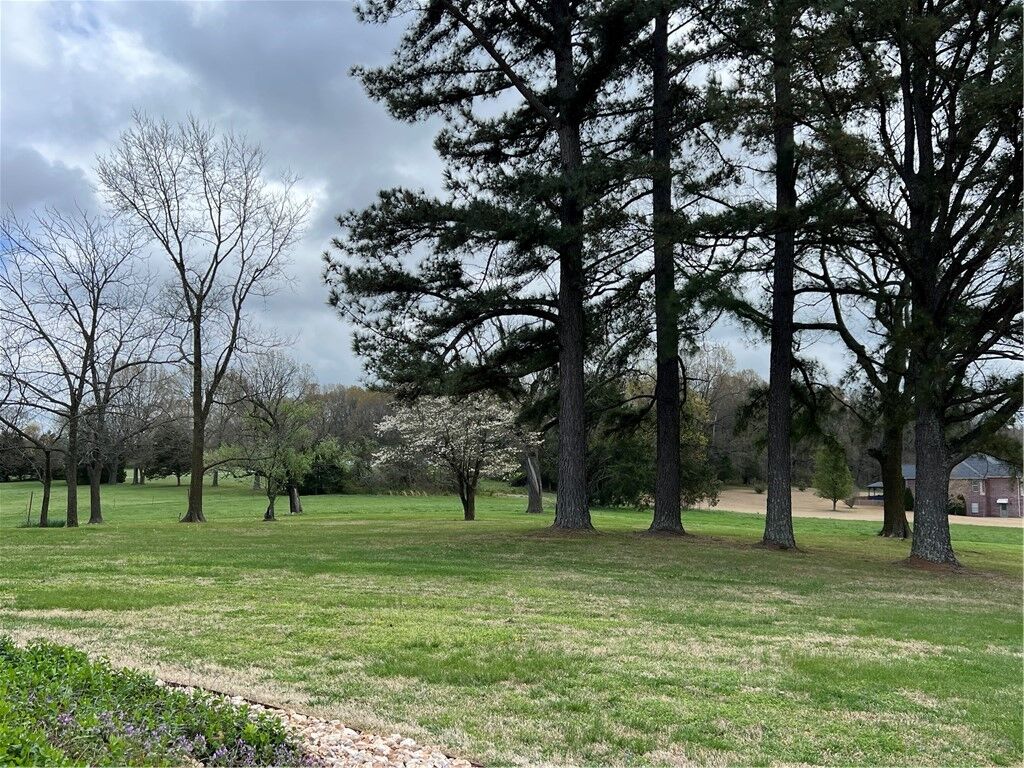 Property Photo:  3113 Savannah Drive  AR 72601 