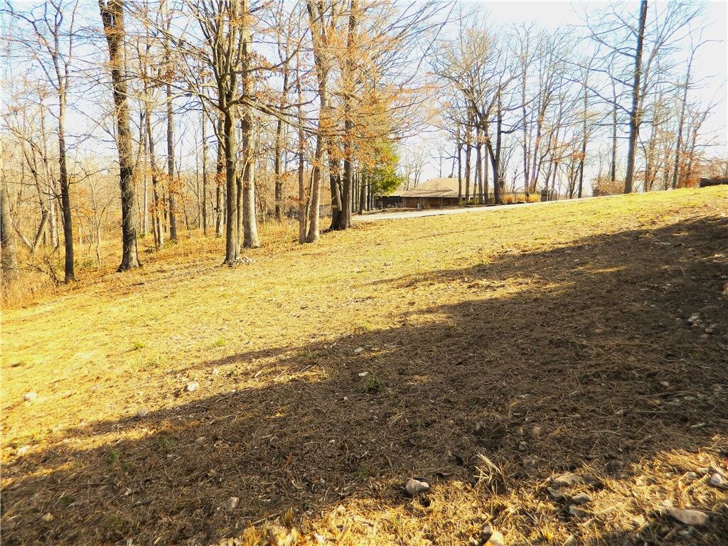 Property Photo: N Hilltop Circle AR 72756