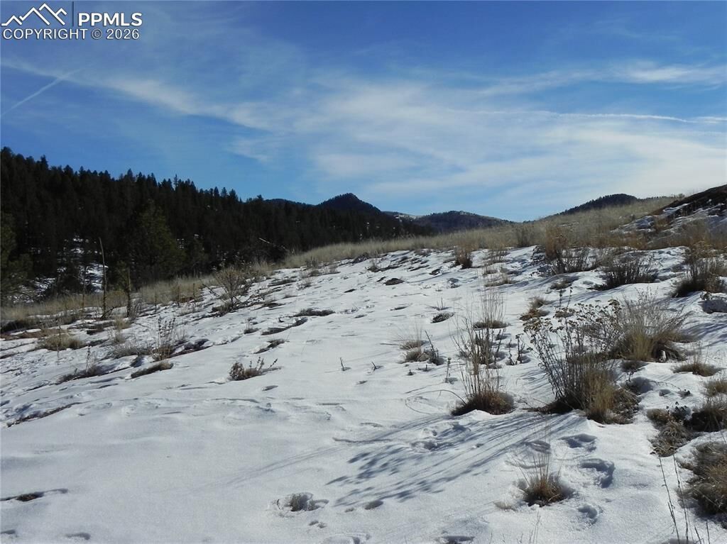 Property Photo:  277 Gold King Drive  CO 80813 